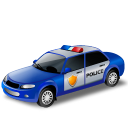 Government Police